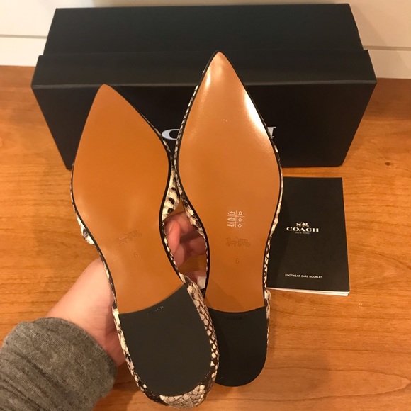 COACH Exotic Snakeskin Pointy Toe Flat Loafer - Picture 6 of 7